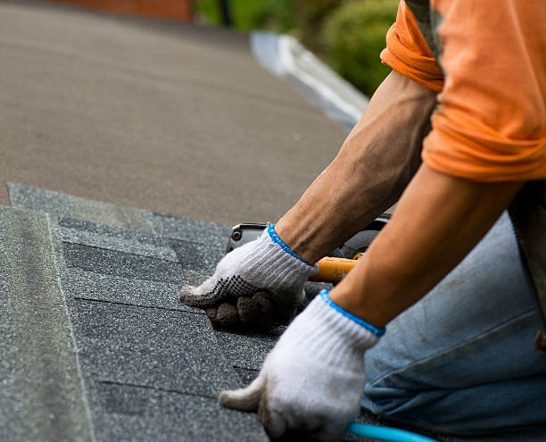 Best Roof Maintenance Services  in Delmont, PA